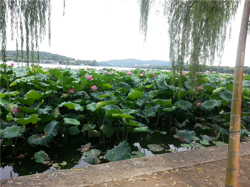 hangzhou01.jpg